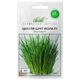 Лук-шнит Ивола F1, 0,5 г Wing Seed - изображение 2