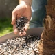Субстрат Lechuza для зелений та пальм Palm PON 25 л 19544 - зображення 4