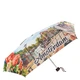 Жіноча парасолька Lamberti (#75119-1877 Amsterdam) - зображення 2