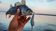 Универсальная электрическая приманка для ловли хищных рыб Twitching Lure - изображение 5