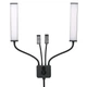 Лампа Double Arms LED CH HD-D2 + 2 holder 45W 3200K-5600K - изображение 1