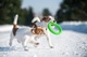 Кільце для апортування Collar PitchDog діаметр 17 см (4823089302386) - изображение 10