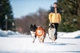 Кільце для апортування Collar PitchDog діаметр 30 см (4823089302454)A - зображення 7