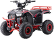 Квадроцикл бензиновий Ramiz Explorer 110CC Червоний (5903864983746) - зображення 1