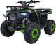 Квадроцикл бензиновий Ramiz Discoverer 125CC Зелений (5903864983791) - зображення 1