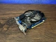 Видеокарта GT 640 2GB Gigabyte DDR5 (GV-N640D5-2GI) Б/У - изображение 3