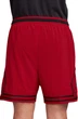 Шорты Air Jordan Sport Dri-Fit Red FQ2989-687 XS - изображение 3