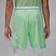 Шорти Air Jordan Sport Dri-Fit Shorts Green HF9910-376 L - зображення 3