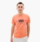 Футболка Helly Hansen Rwb Graphic T-Shirt Orange 53763-284 L - изображение 1