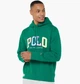 Худи Polo Ralph Lauren Fleece Logo Sweatshirt Green 710890190004 M - изображение 1