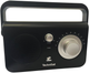 Odbiornik radiowy TechniSat Classic 100 Black (76-4820-00) - obraz 1