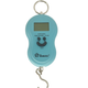 Весы кантер MS-601 Smile электронные, до 40 кг, 10 г, Light голубой - изображение 1