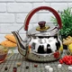 Чайник для плиты A-PLUS Tea Expert 2в1 встроенное сито для листового чая, 1.0 л из нержавеющей стали - изображение 7