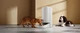 Смарт-годівниця Mova Automatic PET Feeder PF10 Pro (PF10A) - зображення 17