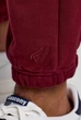 Штаны Saucony Recovery Sweatpant Bordo 800049-SUA3 XXS - изображение 4