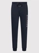 Штани Tommy Hilfiger Corp Graphic Black MW0MW22205 M - зображення 4