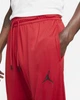 Штаны Air Jordan Dri-Fit Air Red CZ4790-687 S - изображение 4