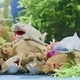 Стретч-игрушка животное Legend of Animals Макси Хранители океана для детей - изображение 4