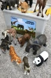 Набір диких тварин у боксі Mideer Animal Set MD 1382 - изображение 2
