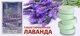 Средство от моли ароматизированное в таблетках "Лаванда", 4 таблетки - изображение 2