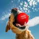 Игрушка для собак WAUDOG Fun Red Ball вспененный термопластичный полиуретан 70 мм Красный (6001collar) - изображение 5