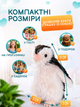 Силиконовый пингвин Реборн Frosty с аксессуарами - изображение 4