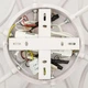 Потолочный светодиодный светильник с пультом ДУ LUMINARIA LIANA MUSE 80W WHITE/OPAL 220V IP20 - изображение 8