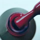 Гель-лак для ногтей Elixir Make-up Semi Gel тон 883 Sangria 8мл - изображение 2