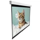 Проекционный экран EQUIPIFY SGM-1103 настенный потолочный 100" 180x180см 1:1 - изображение 4