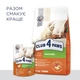Вологий корм для кошенят Клуб 4 лапи курка в соусі CLUB 4 PAWS Premium With chicken in gravy 80 гр 24шт. - изображение 6