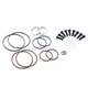Ремкомплект подвійного Vanos з болтами (Double Vanos) BMW M52TU, M54, M56 11361440142 - зображення 1