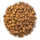 Сухой корм для собак Hills Science Plan Canine Adult Small Mini Lamb Rice Ягненок и Рис для мелких пород 6 кг - изображение 2