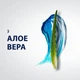 Гель для гоління Gillette Series Sensitive Skin Для чутливої ​​шкіри 200 мл (3014260214692) - зображення 6