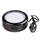 Бра LED фіто для рослин LED-46/50W 50 pcs IP20 GROW Brille L137-004 - зображення 1