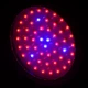 Бра LED фіто для рослин LED-46/50W 50 pcs IP20 GROW Brille L137-004 - зображення 2
