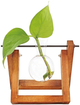 Wazon na kwiaty Winkee Hydro Vases (4260348479807) - obraz 1