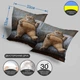 Подушка плюшевая смешная с приколом с Котом от WONKEY 33×33 см, 3D печать / 1305833UA - изображение 3