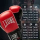 Боксерські рукавиці Leone GN383 THUNDER Red 8 унцій (капу в комплекті) - изображение 10