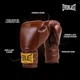 Боксерские перчатки Everlast 1910 CLASSIC TRAINING GLOVE коричневый Унисекс 12 унций - изображение 4