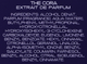 Perfumy unisex Thameen The Cora 50 ml (5060905831821) - obraz 5