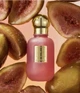 Відновлююча олія для обличчя Byroe fig renewal oil 20 мл - изображение 2