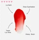 Тінт для губ Dr.Lipp Superfood Red Radish Tint 8 мл - изображение 2