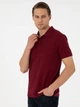 Поло длинное мужское Pierre Cardin G021GL011-000-2186292 2XL Бордовое (8683858466222) - изображение 4
