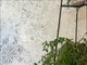 Узоры трафареты DFA геометрический набор для дизайнерского декора под краску и штукатурку 0,3-1 мм (N00134) - изображение 6