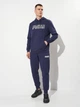 Худи утепленное мужское Puma Essentials Graphics 68466106 M Navy (4067983628948) - изображение 3