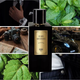 Woda perfumowana męska Saphir Parfums Elite Your Adventure 100 ml (8424730039222) - obraz 2