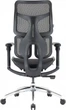 Fotel biurowy SIHOO DORO S100 Mesh Black (S100-M301) - obraz 2