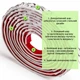 Молдинг 4950х20х7 мм Белый с серебром SW-00002679 - изображение 3