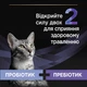 Pro Plan FortiFlora Feline Probiotic пробиотик для взрослых кошек и котят порошок по 1 г, 30 пакетов - изображение 2
