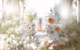 Woda toaletowa damska Laura Biagiotti Roma Fiori Bianchi 25 ml (8058045437086) - obraz 4
